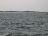 IMG_2194.JPG